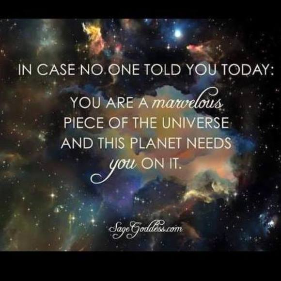 Meet your Posher, Chris - Picture 1 of 1